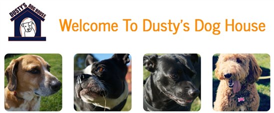 dog daycare jersey city nj