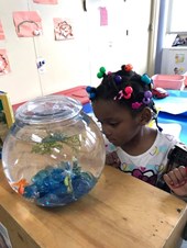 Water Lily Learning Center LLC - Day Care Center in Cincinnati, OH