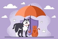 5 Things to Know Before Buying Pet Insurance in New York, NY