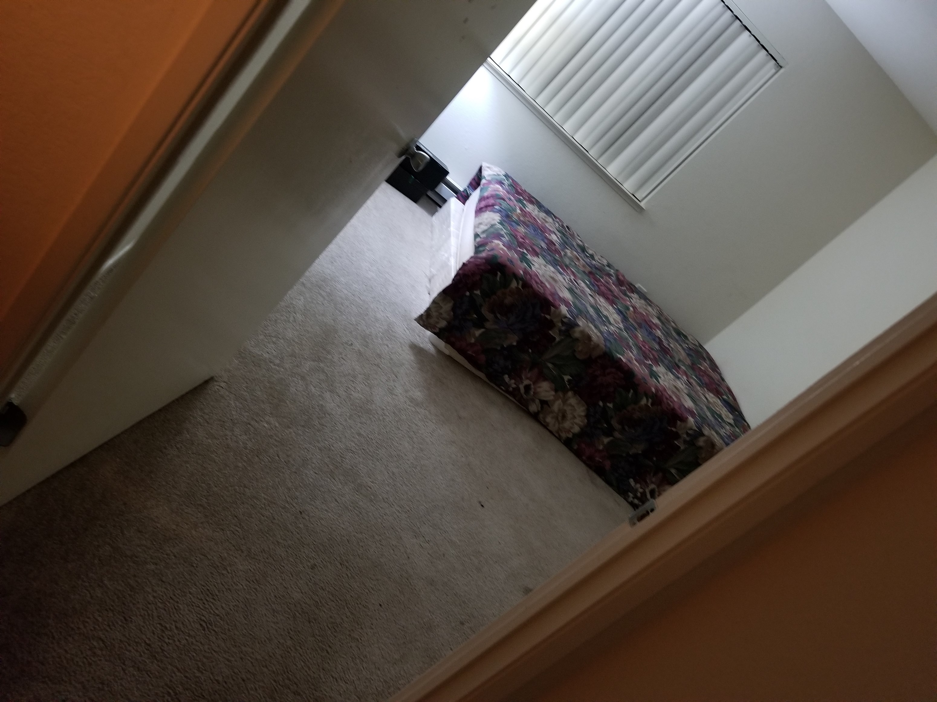 Cheap Room For Rent In San Jose Ca 1163539 Sulekha Roommates