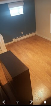 8 Indian Roommates Rooms For Rent In Burlington MA Apartments   Roommates 2019 06 01 04 11 18 371 9798917 